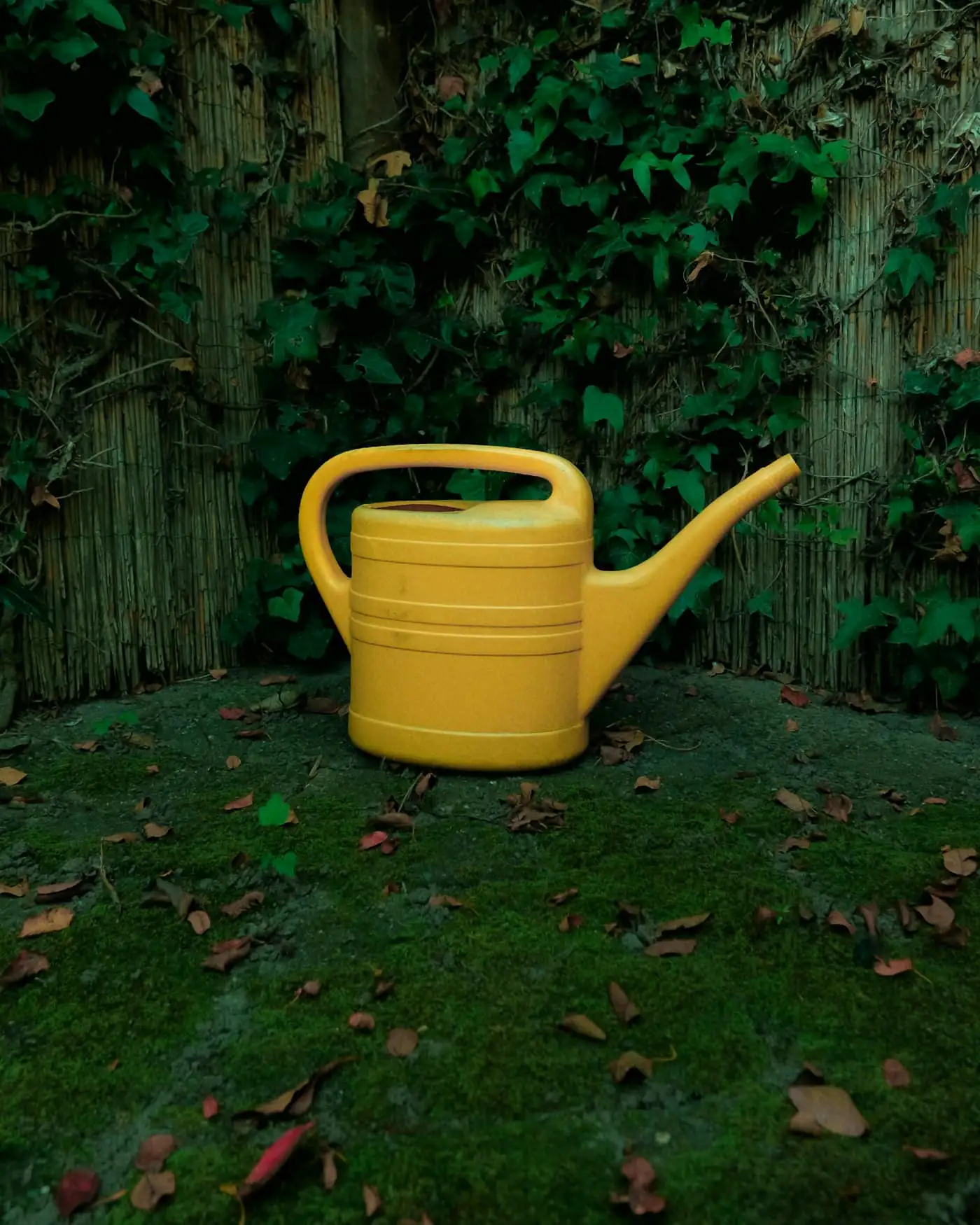 A yellow watering can in the school garden